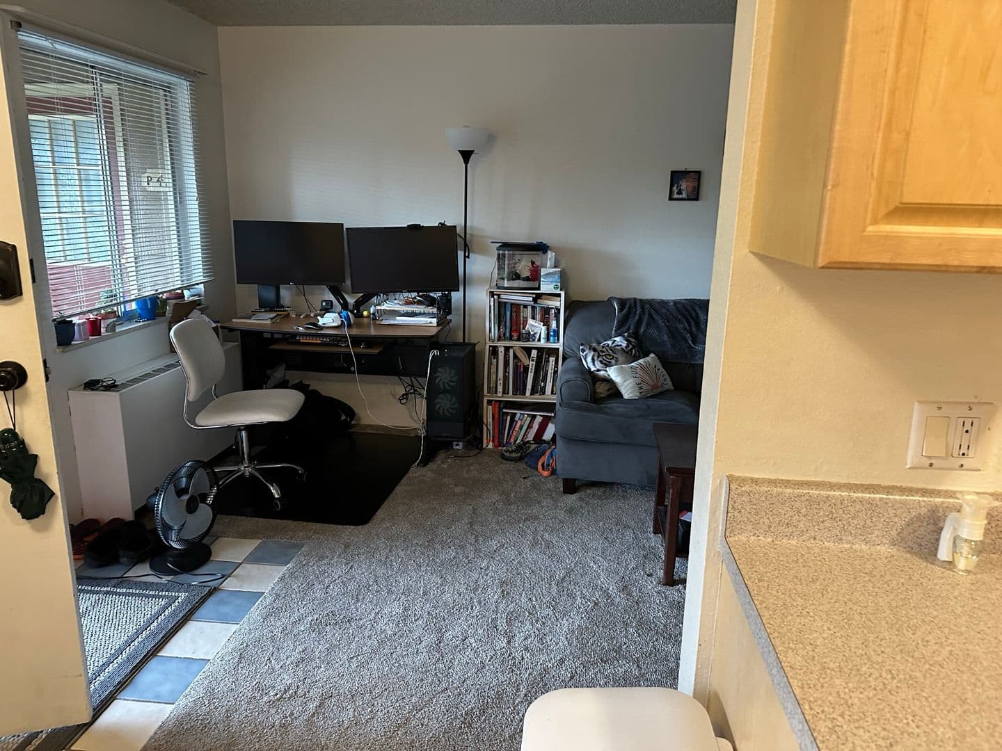 Boulder Condo: 3161 Madison Ave #P421