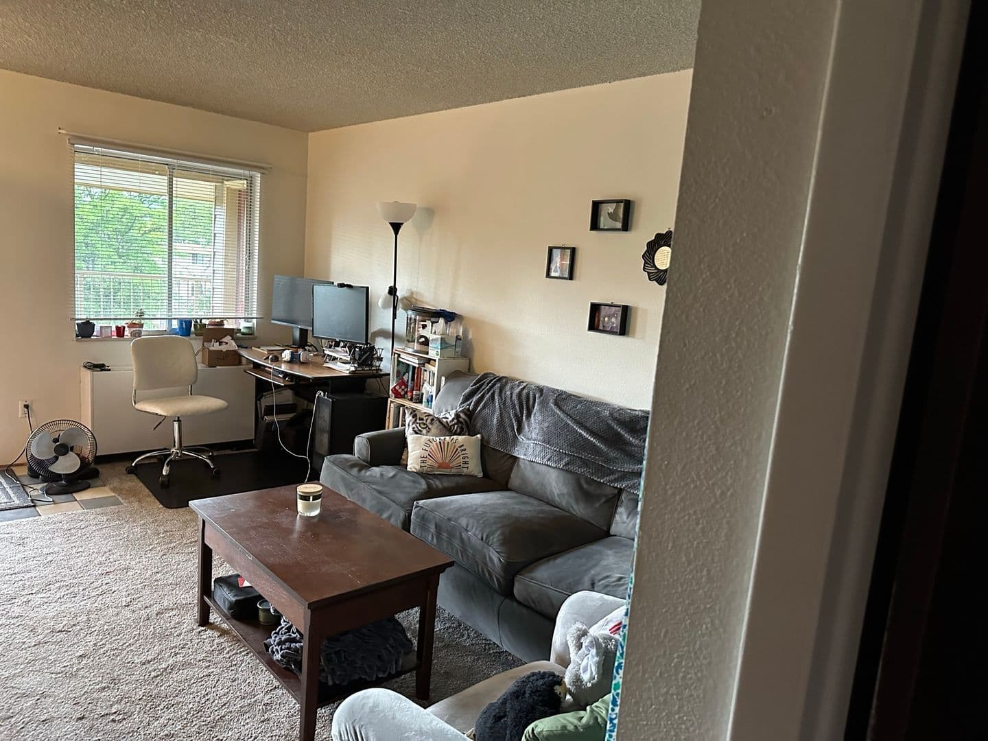 Boulder Condo: 3161 Madison Ave #P421