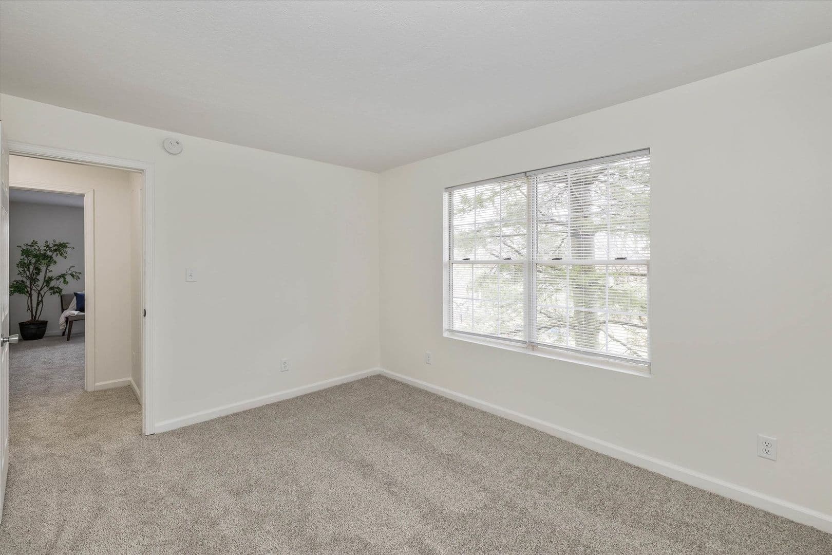 Danville Apartment: 1965 E Main St