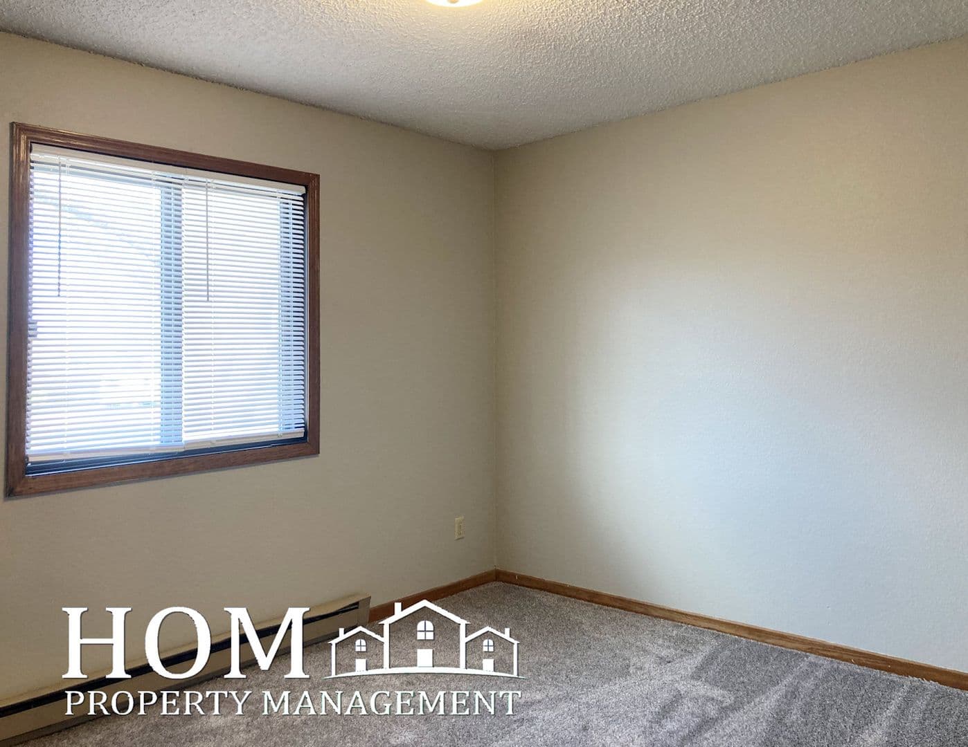 Mankato Apartment: 111 West Lind Street