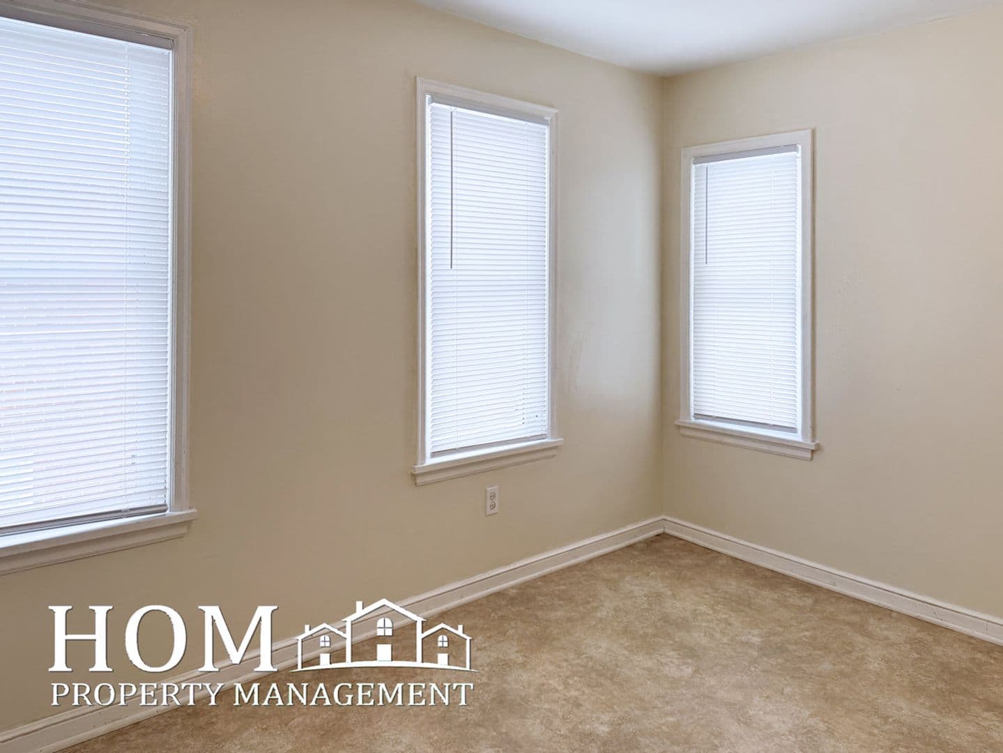 Mankato Apartment: 308 North Broad Street