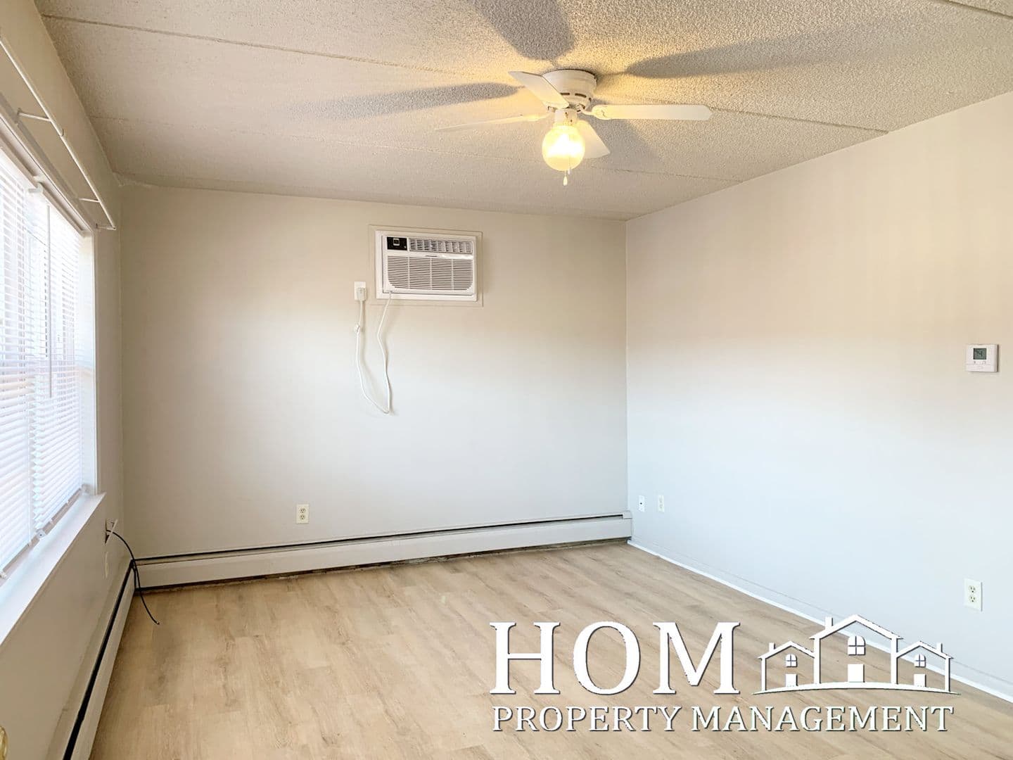Mankato Apartment: 107 East Liberty Street