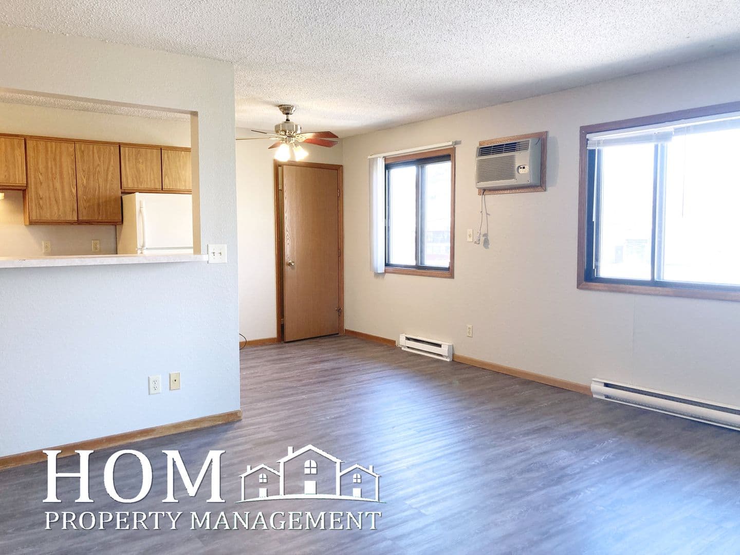 Mankato Apartment: 111 West Lind Street