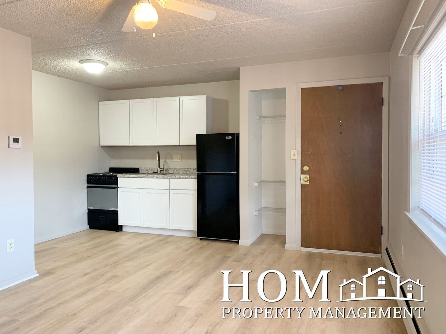 Mankato Apartment: 107 East Liberty Street