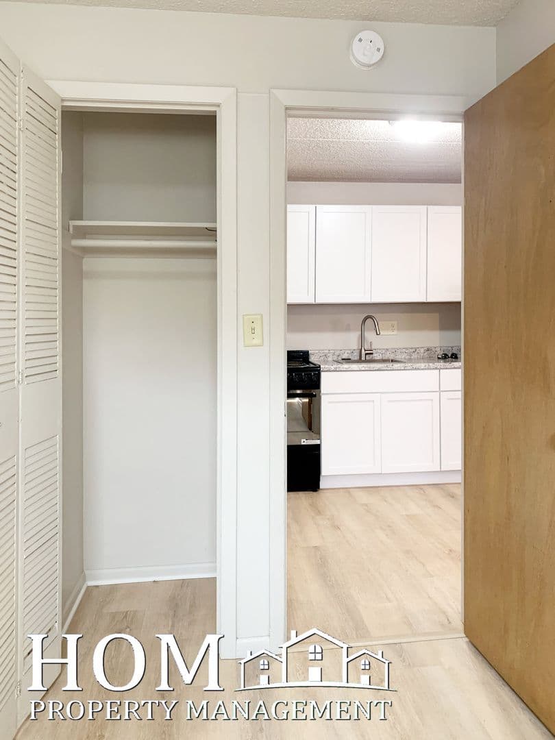 Mankato Apartment: 107 East Liberty Street