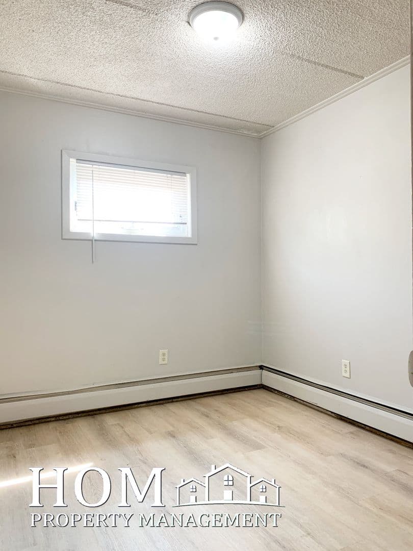 Mankato Apartment: 107 East Liberty Street