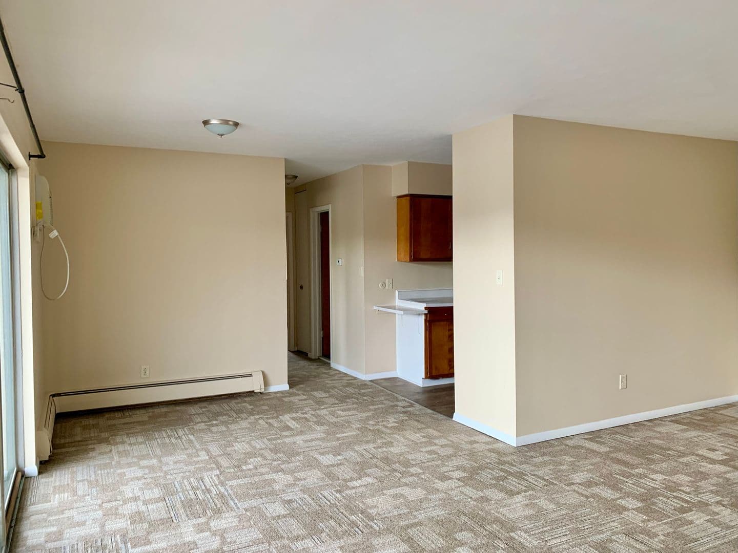 Tiffin Apartment: 223 - 229 Mohawk St