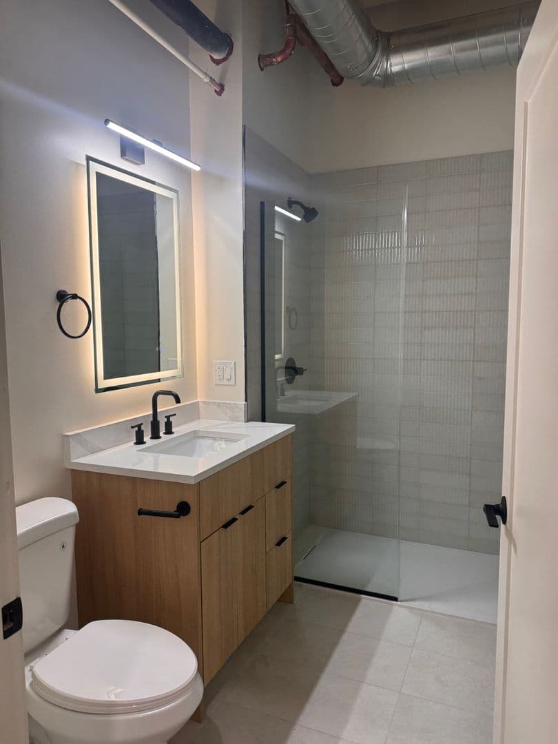 Chicago Apartment: 118 S Clinton St