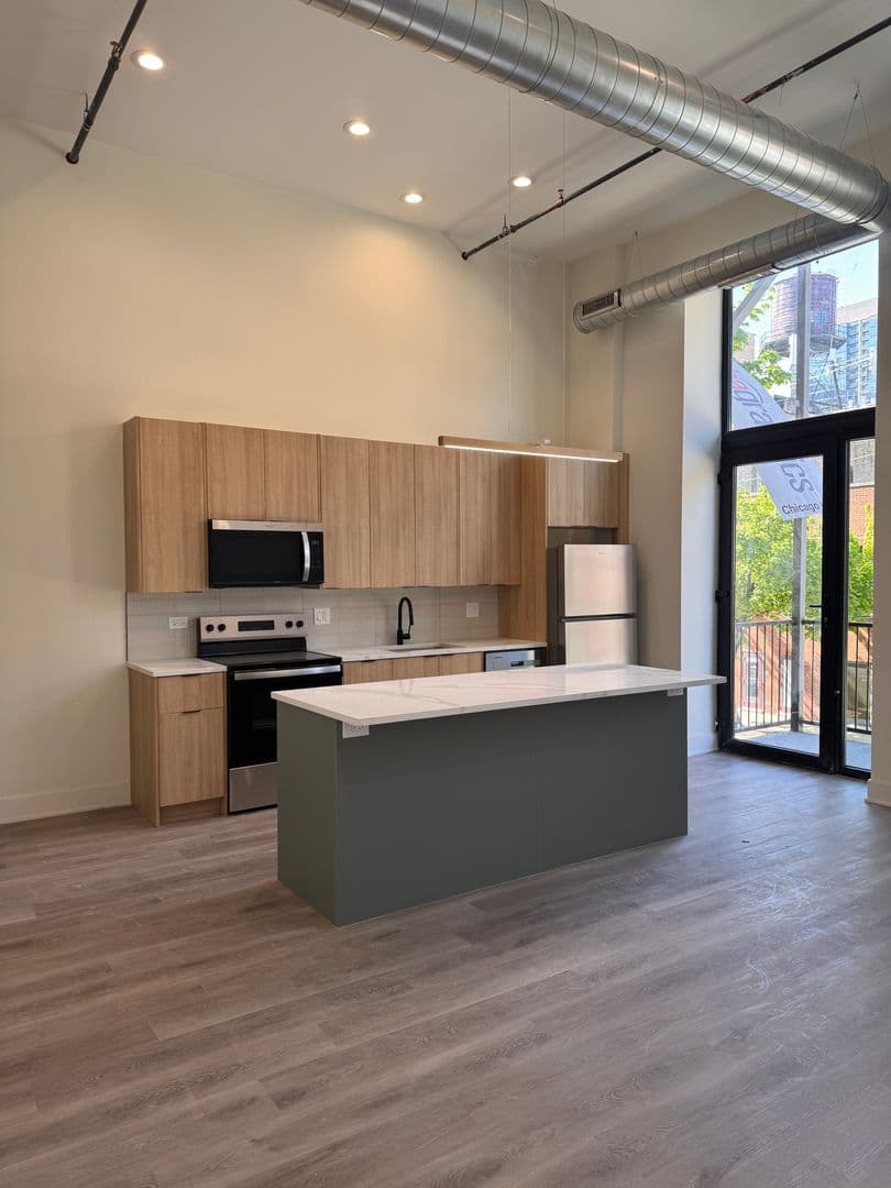 Chicago Apartment: 813 W Evergreen Ave