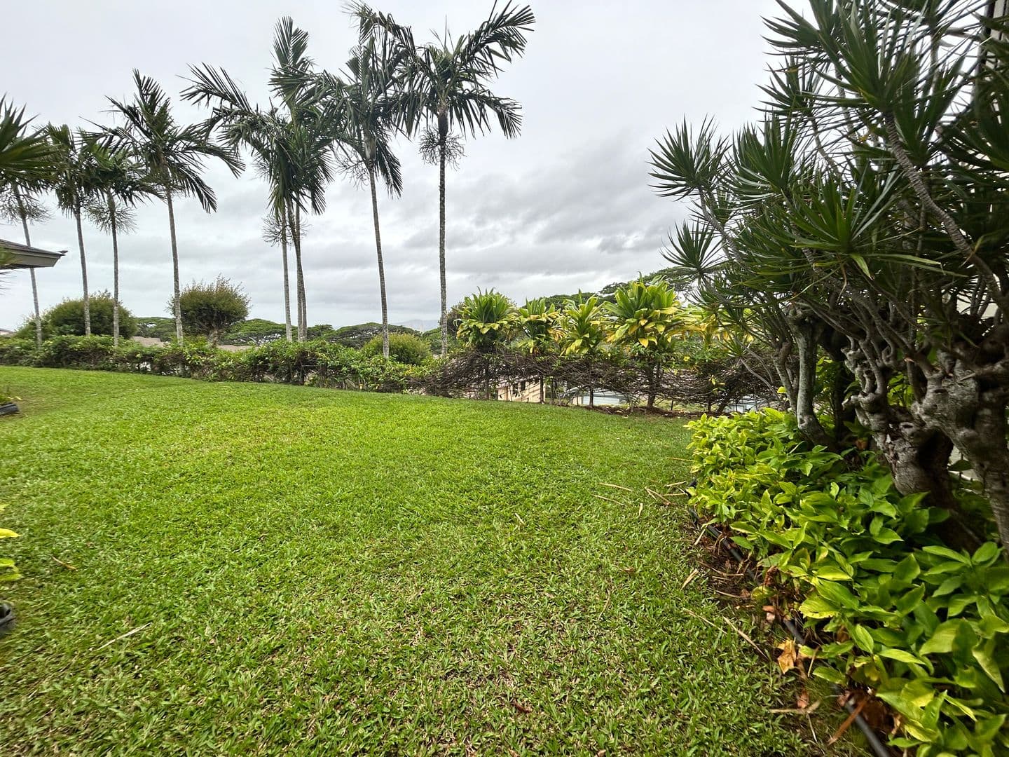 Aiea Townhome: 98-1784 Kaahumanu Street Unit 66C