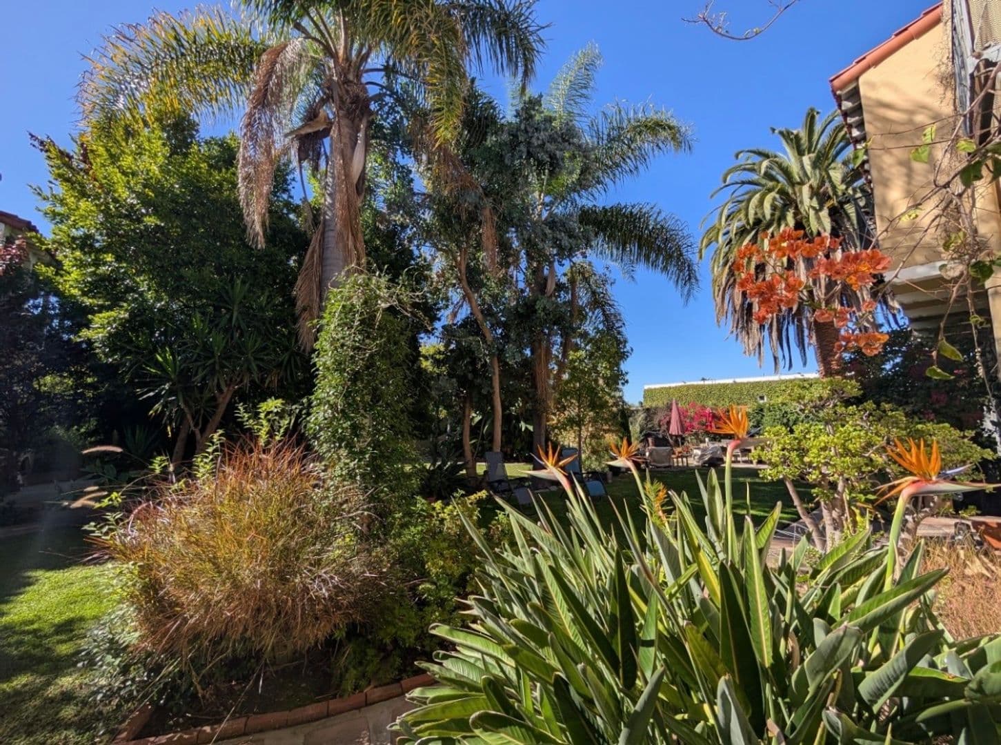 Los Angeles Apartment: 1081-1099 S. Orange Grove Ave.
