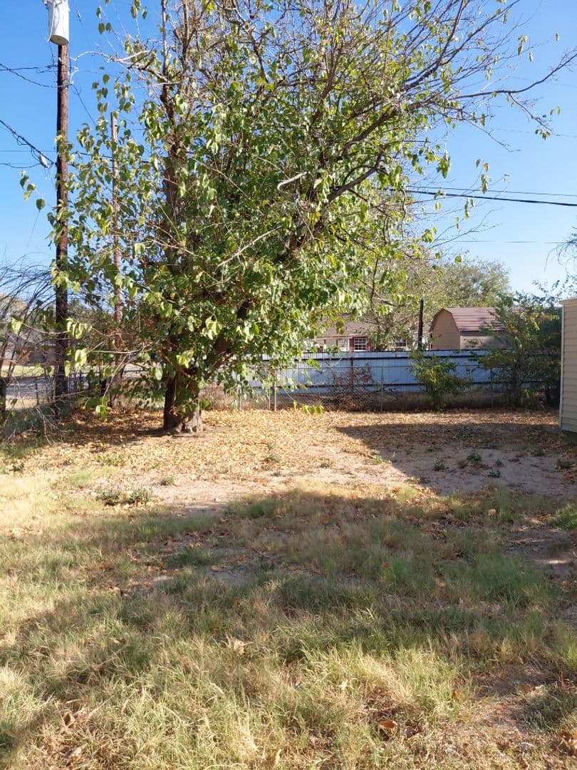 Mineral Wells House: 1001 SE 19th Street