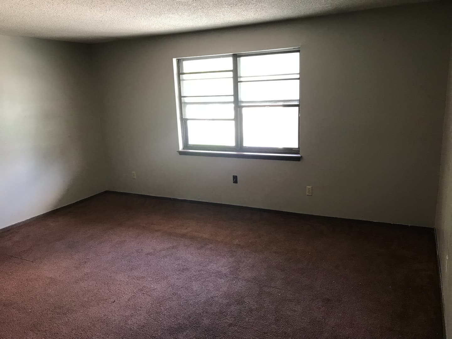 Columbia Apartment: 240 Apple Tree Ct