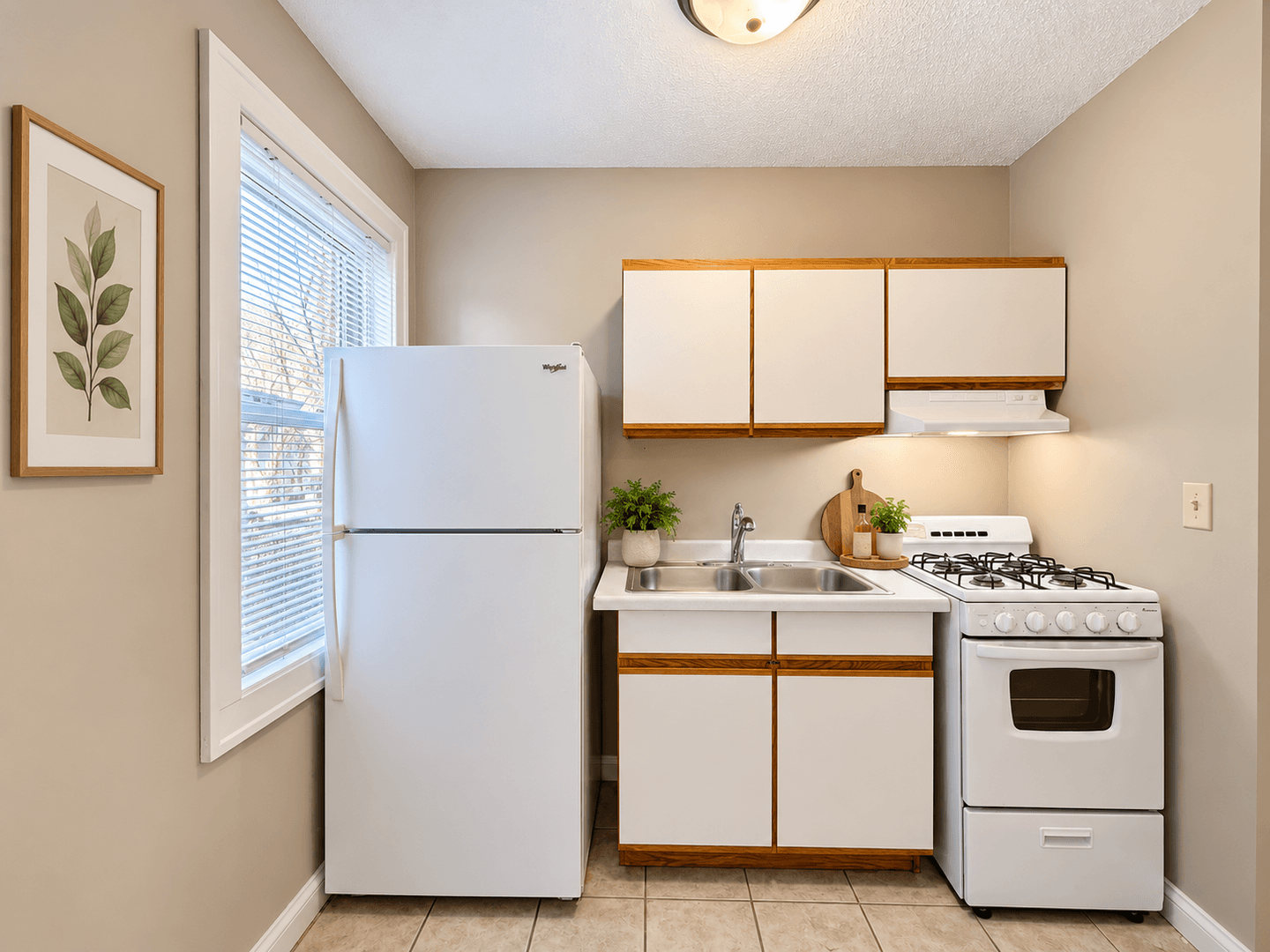 Saint Paul Apartment: 535 Asbury St