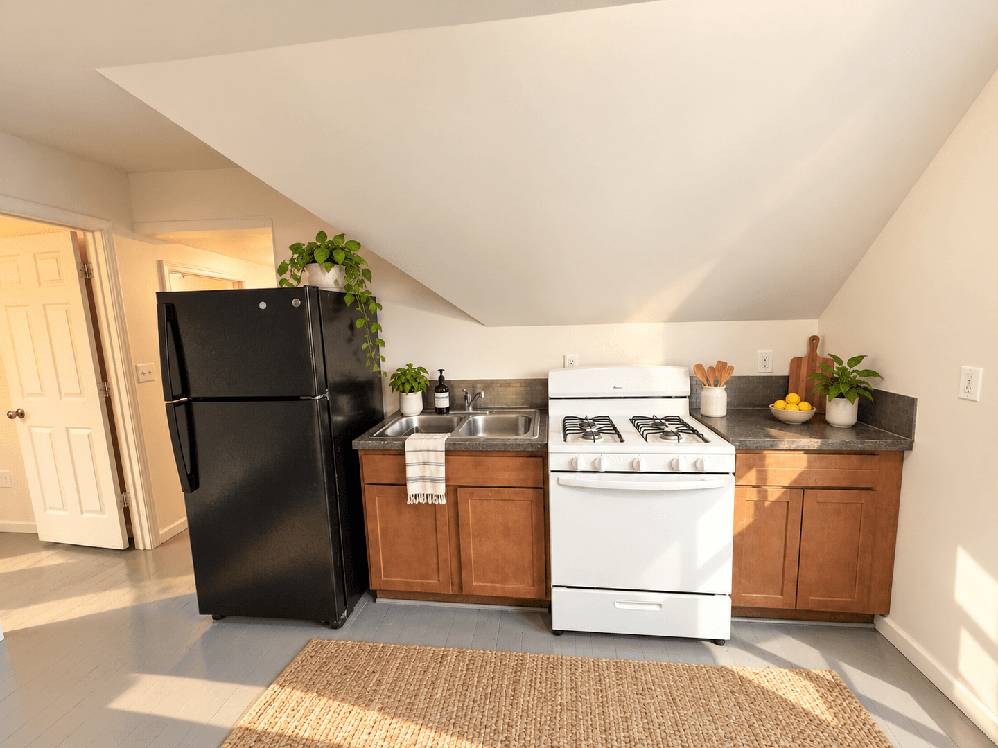Saint Paul Apartment: 1087 Randolph Ave