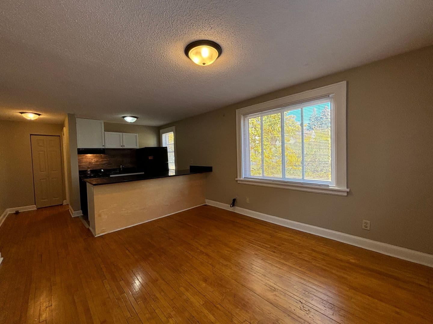 Saint Paul Apartment: 535 Asbury St