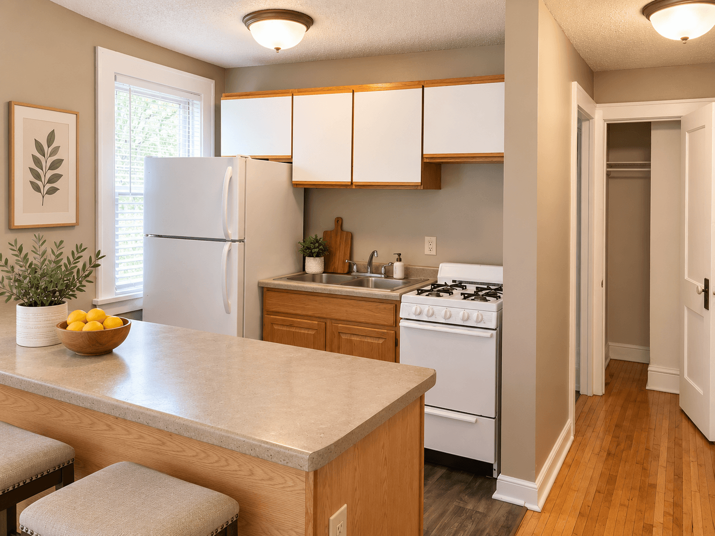 Saint Paul Apartment: 535 Asbury St