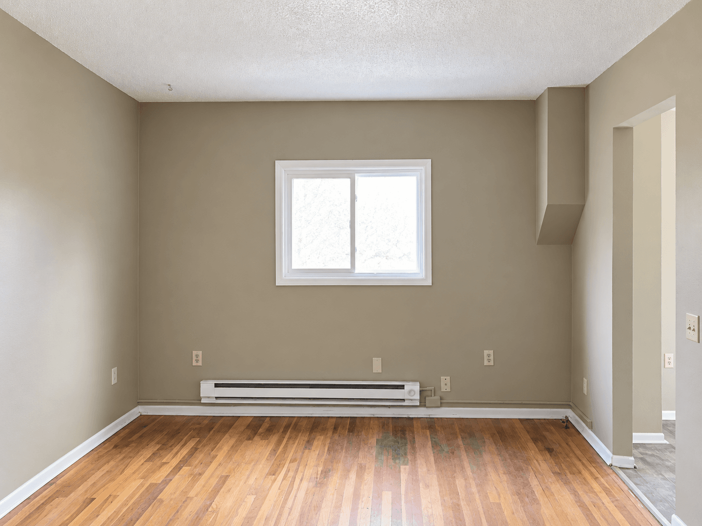Saint Paul Apartment: 217-219 Bates Ave