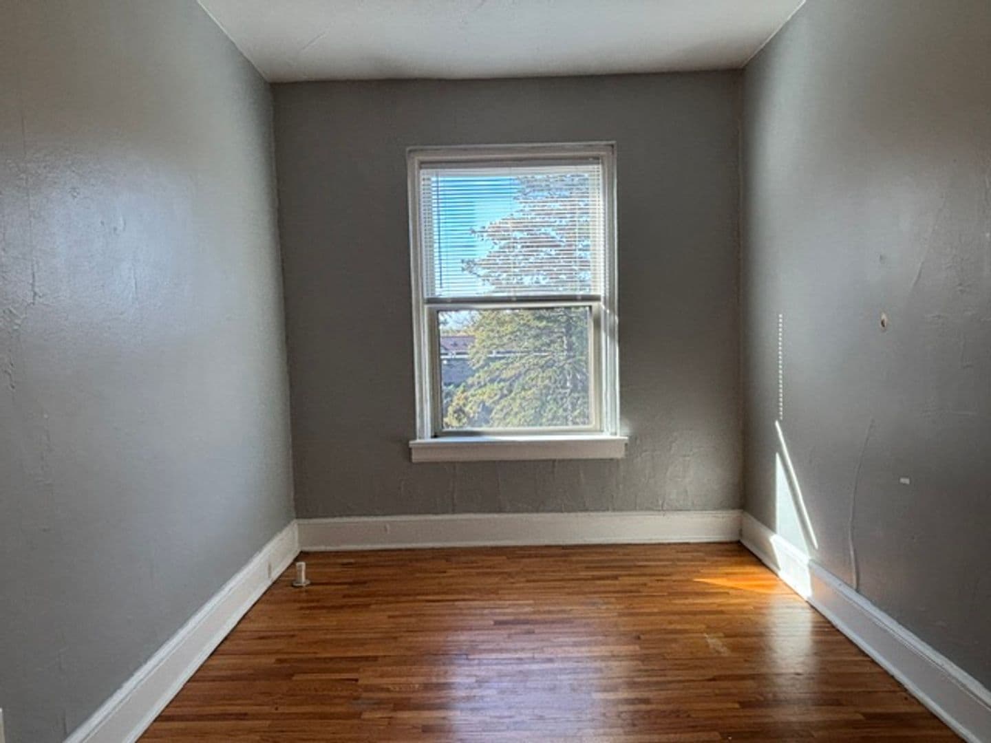 Saint Paul Apartment: 1967 Grand Ave
