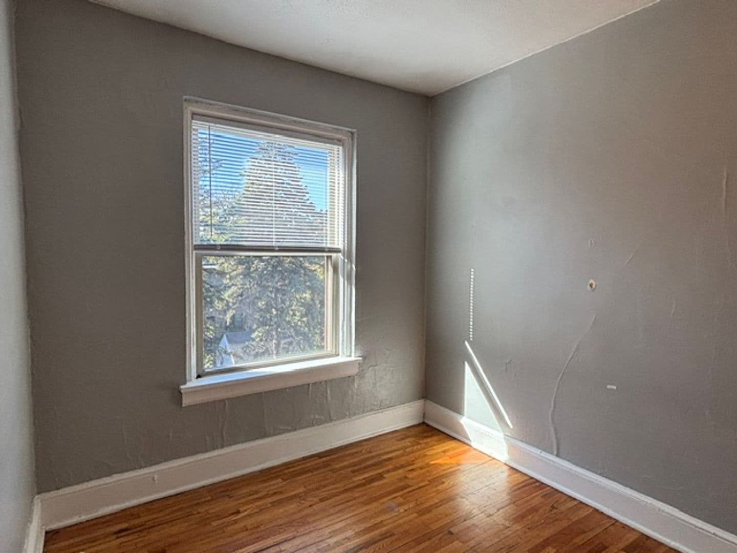 Saint Paul Apartment: 1967 Grand Ave