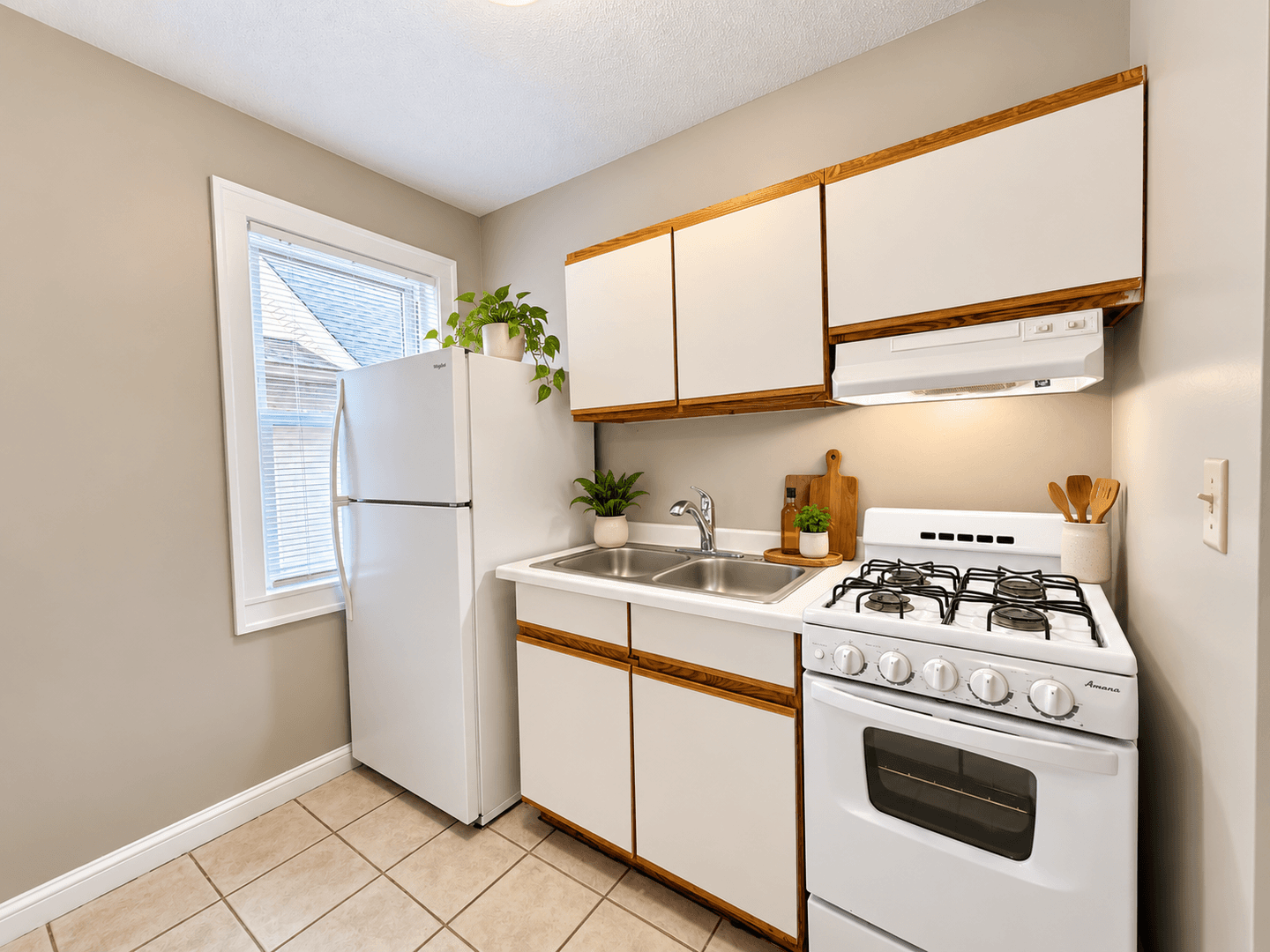 Saint Paul Apartment: 535 Asbury St