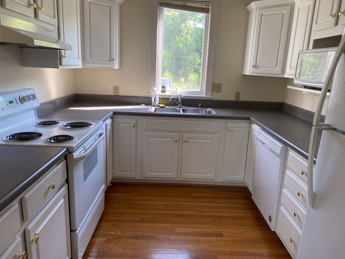 Lexington Apartment: Holly Park Lane