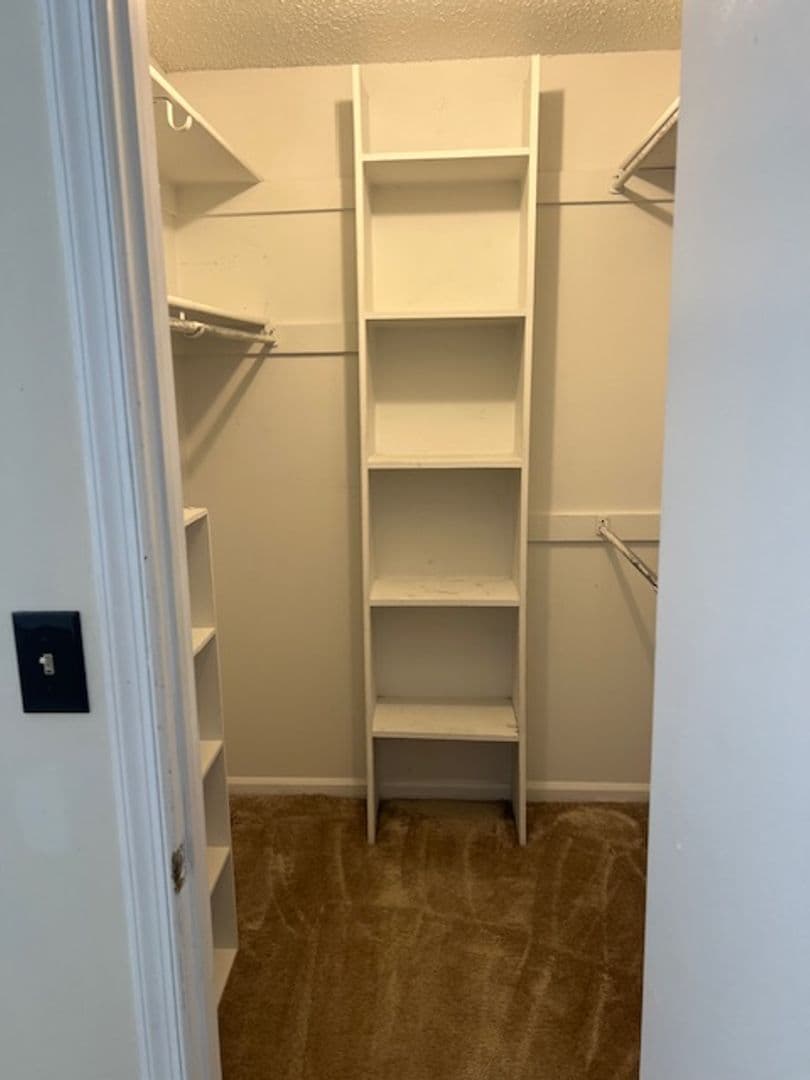 Virginia Beach House: 310 Ferdinand Circle