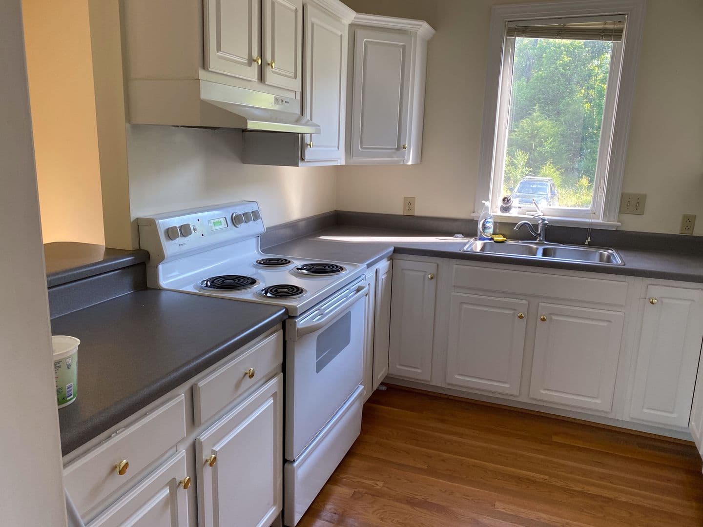 Lexington Apartment: Holly Park Lane