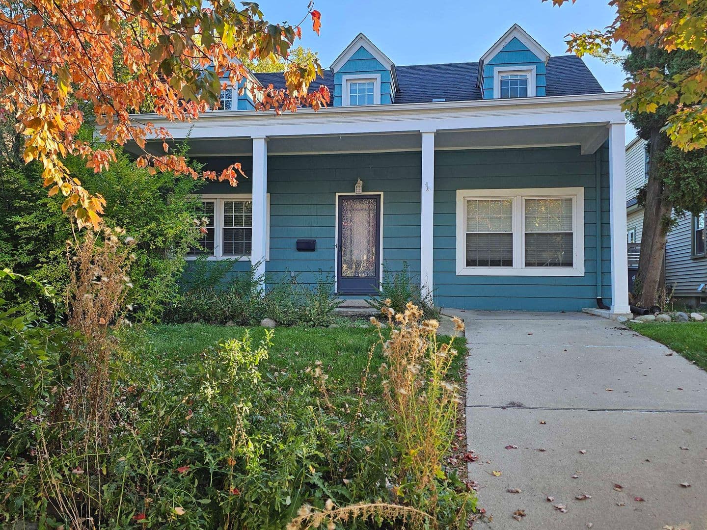 Ann Arbor House: 509 Potter Avenue