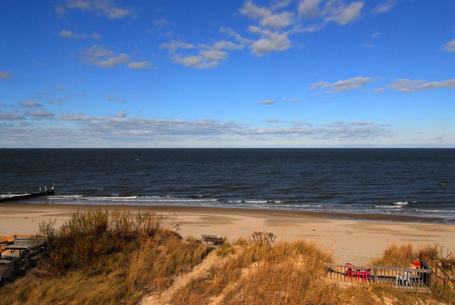 Norfolk Apartment: 2020 E. Ocean View Avenue