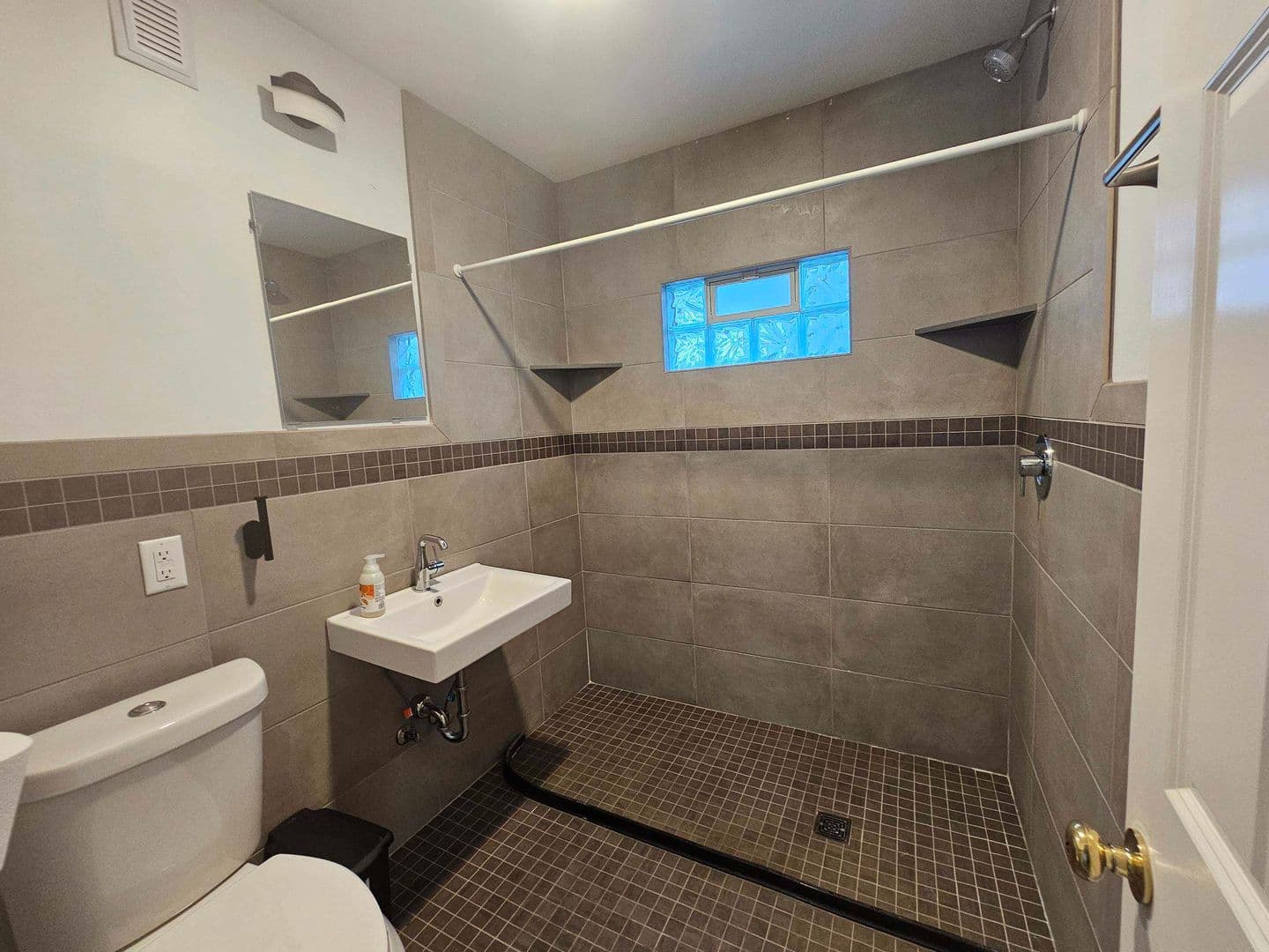 Ann Arbor House: 509 Potter Avenue