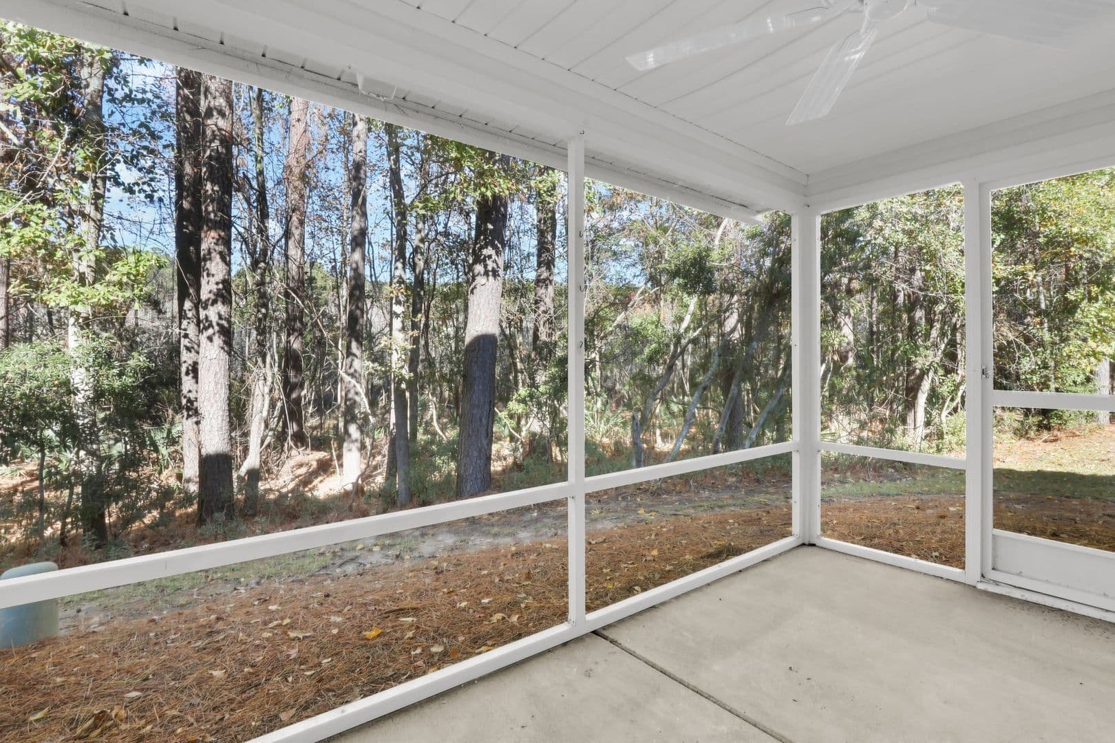 Bluffton House: 230 North Circle