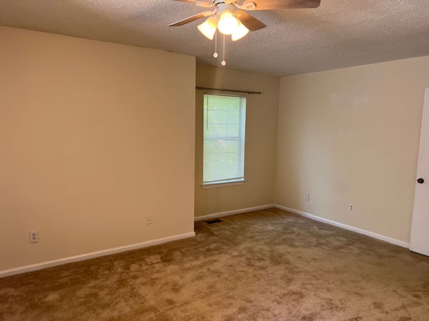 Virginia Beach House: 310 Ferdinand Circle