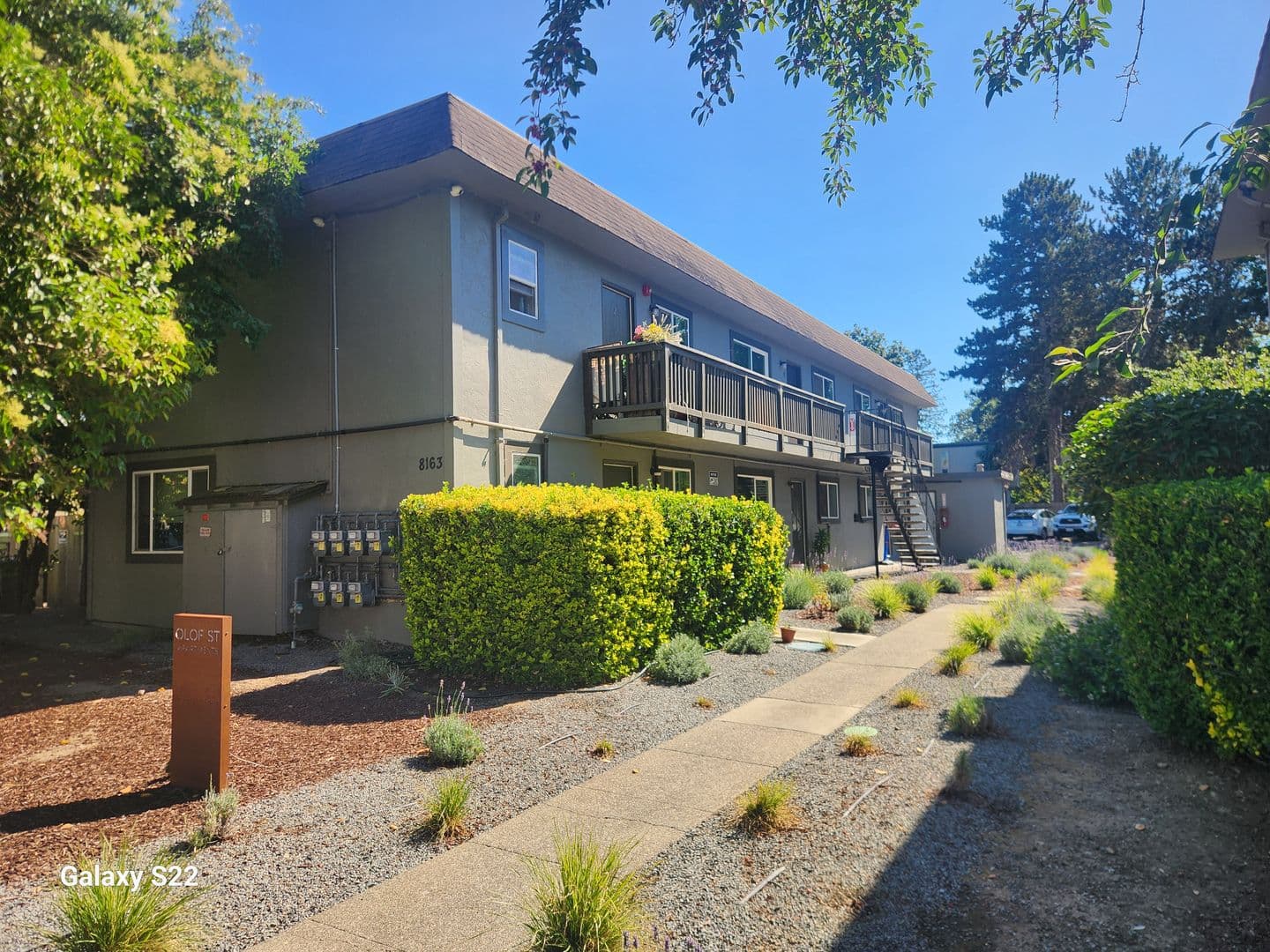 Cotati Apartment: 8163 Olof St