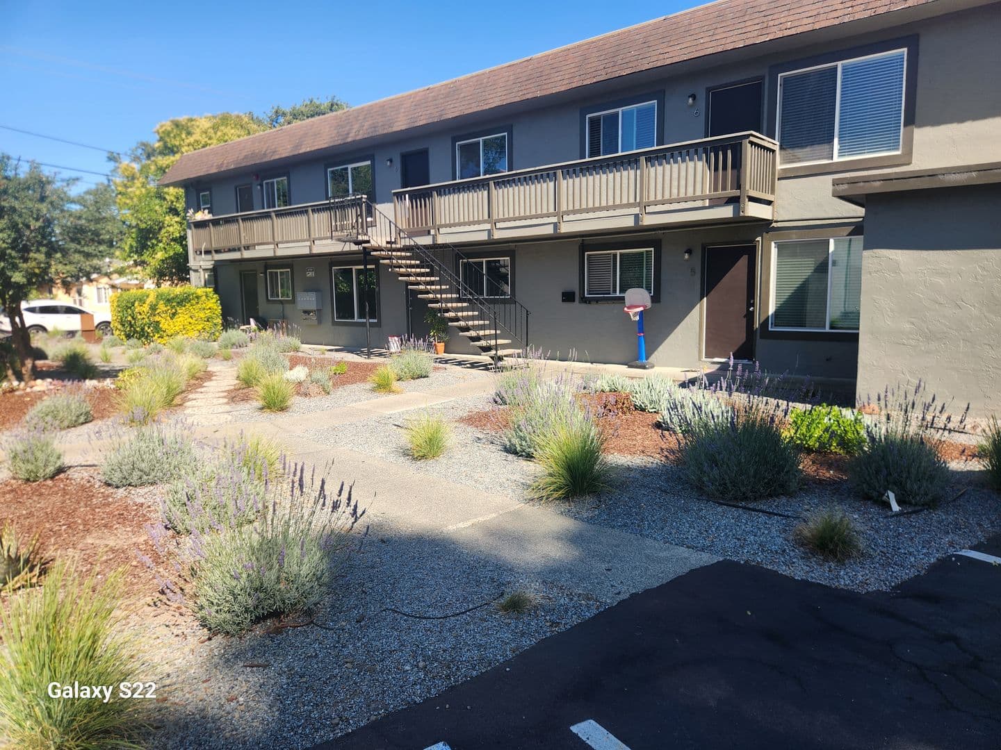 Cotati Apartment: 8163 Olof St