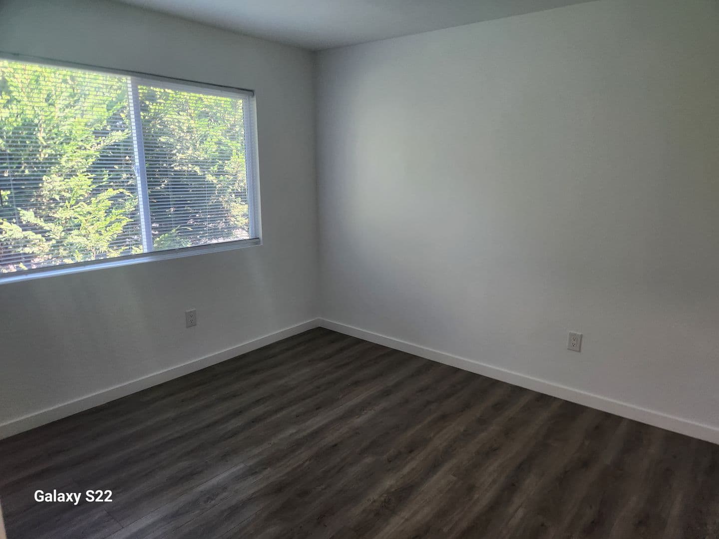 Cotati Apartment: 8163 Olof St