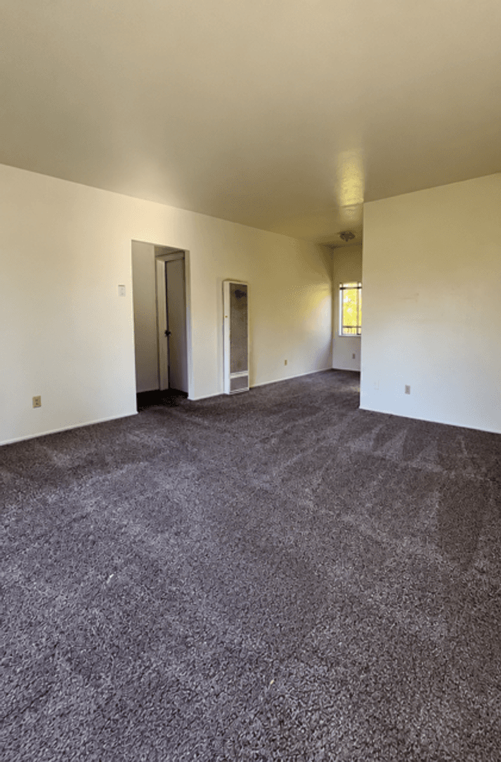 Auburn Apartment: 425 Finley St.(1-9)