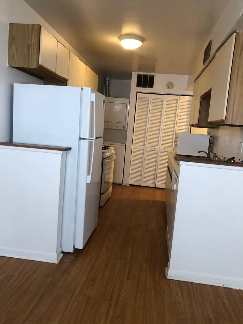 Palatine Apartment: North Lake Shore Drive