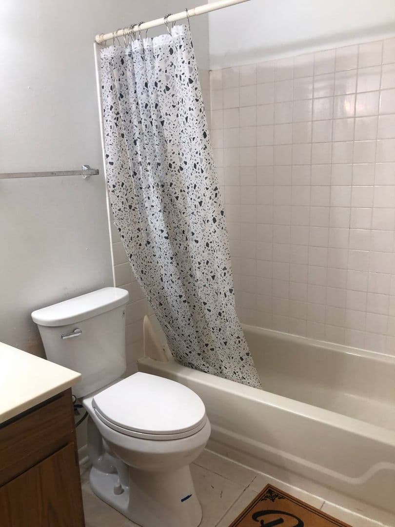 Palatine Apartment: North Lake Shore Drive