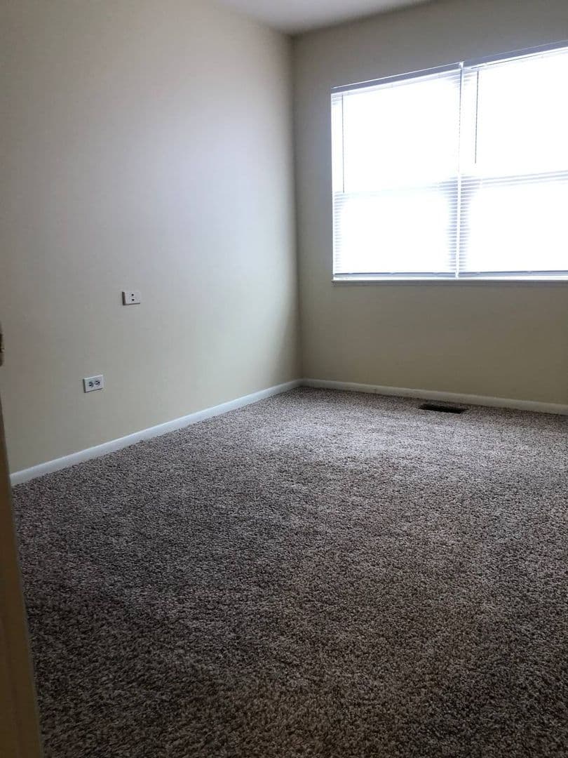 Palatine Apartment: North Lake Shore Drive