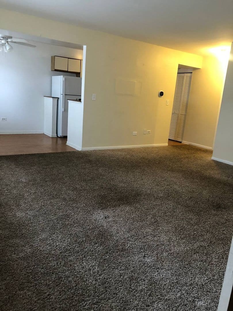Palatine Apartment: North Lake Shore Drive