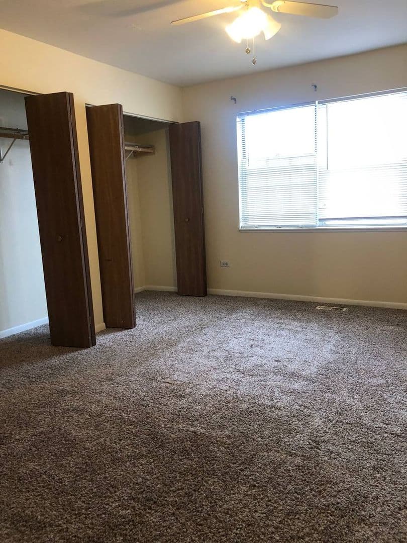 Palatine Apartment: North Lake Shore Drive