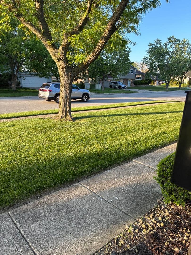 Lynwood House: 20104 Willow Dr