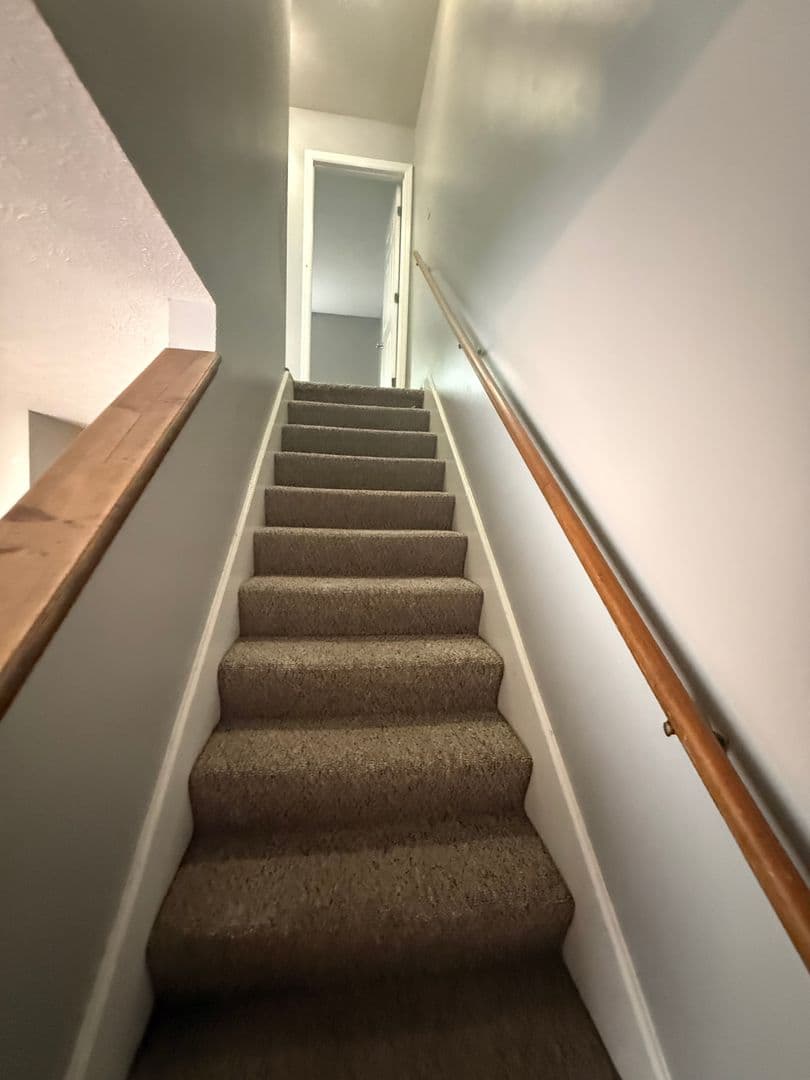 Bowling Green Apartment: 2050 Clover Court