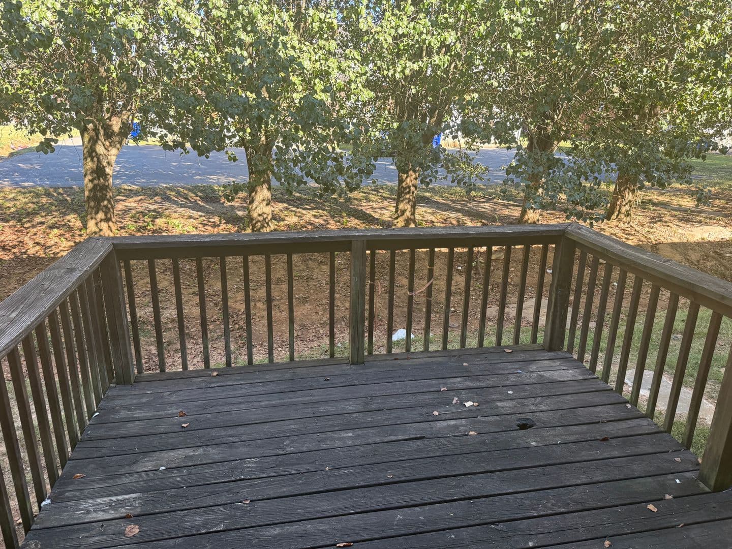Bowling Green Apartment: 2050 Clover Court