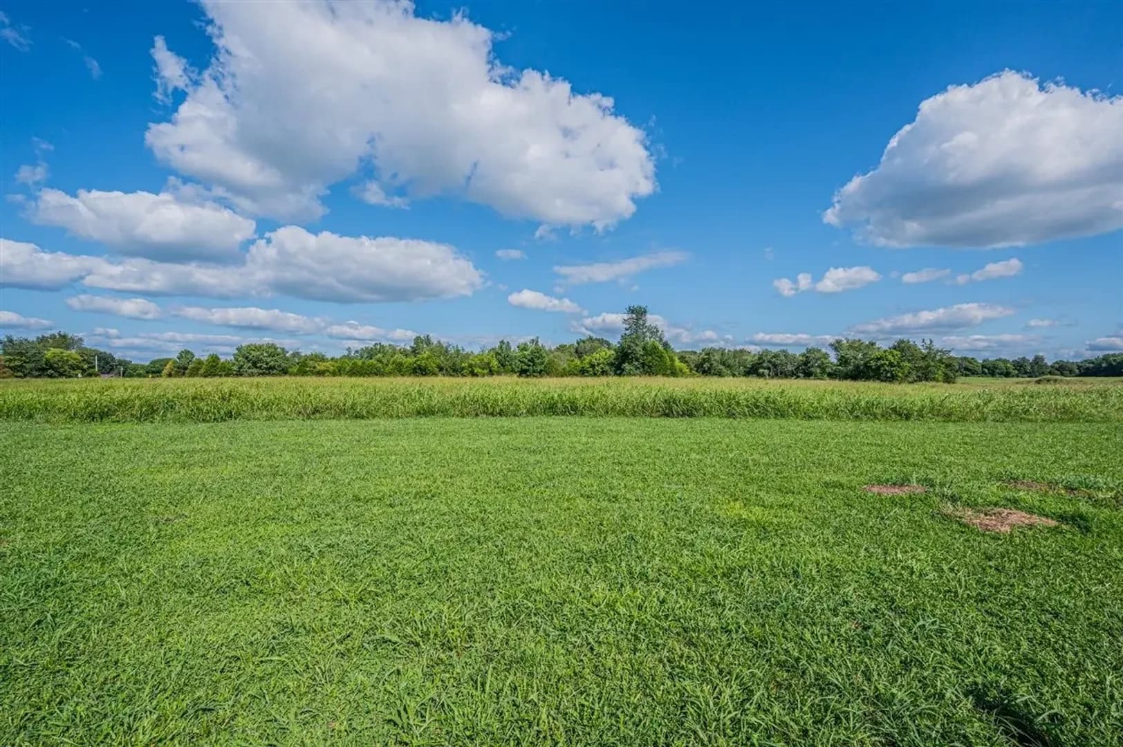 Bowling Green House: 680 Northridge Dr (HOA)