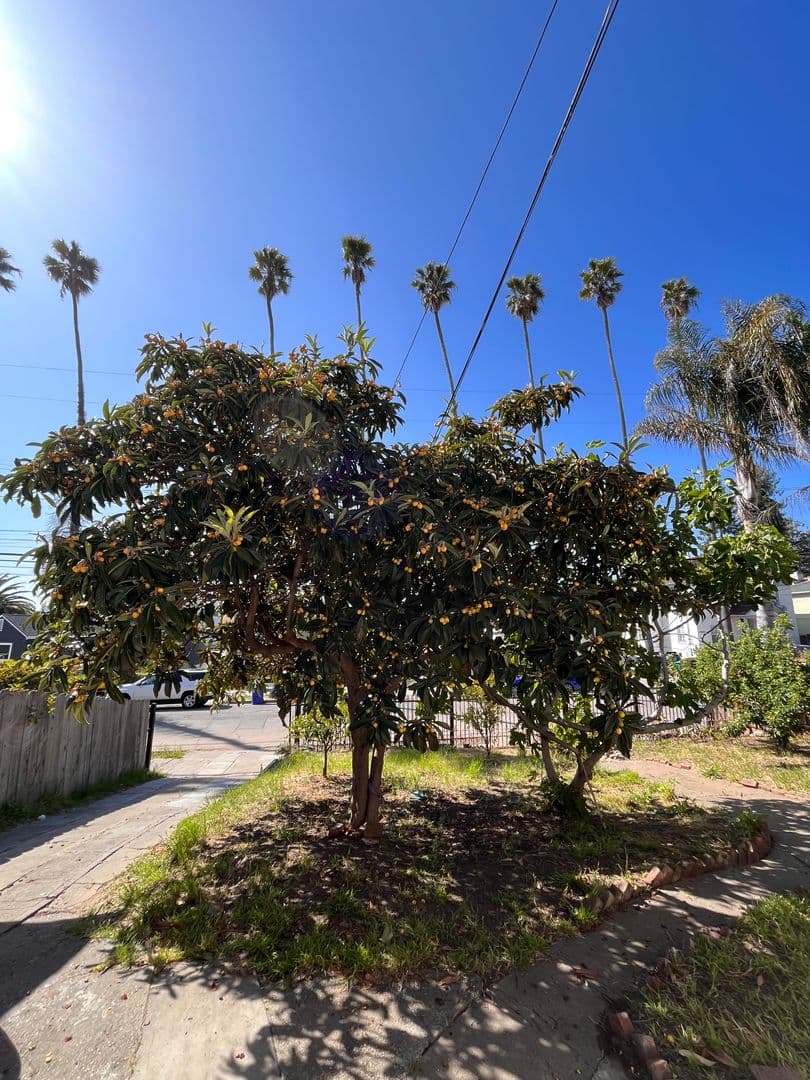 Oakland House: 2436 9th Ave