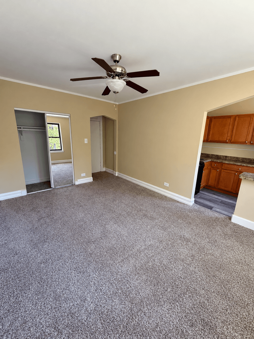 Chicago Apartment: 5210-14 South Woodlawn Avenue
