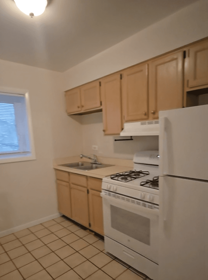 Chicago Apartment: 528 W. Wellington