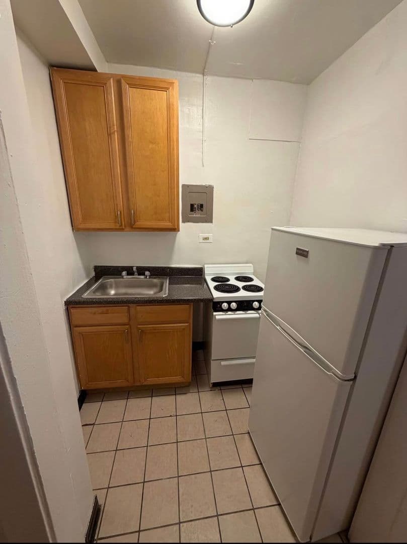 Chicago Apartment: 7455 N. Greenview